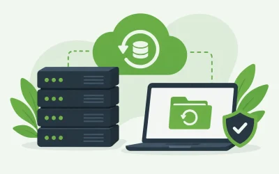 Does VPS Hosting Include Backups? What to Check